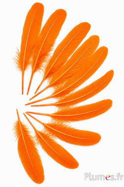 Gans - 15-21 cm - oranje